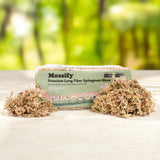 Mossify Premium Sphagnum Moss for Plants