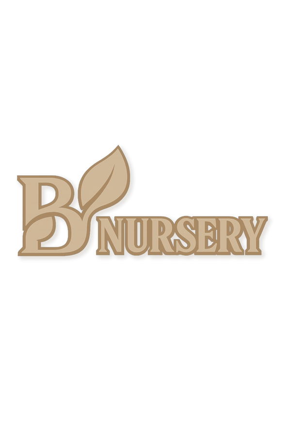 Blackwater Nursery