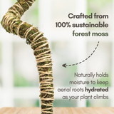 Bendable Moss Pole for Monstera 3 Pack (16" / 30" / 42") – Flexible Moss Pole Stakes for Indoor Plants – Premium Forest Moss with 3-Prong Stake System – Indoor & Outdoor Plant Trellis Set