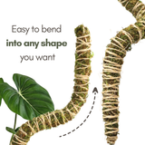 Bendable Moss Pole for Monstera 3 Pack (16" / 30" / 42") – Flexible Moss Pole Stakes for Indoor Plants – Premium Forest Moss with 3-Prong Stake System – Indoor & Outdoor Plant Trellis Set
