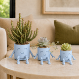 The Plant Fam – Mini Character Pot Set