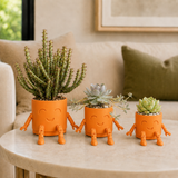 The Plant Fam – Mini Character Pot Set