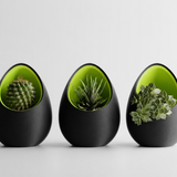 Halo Pod Planter