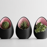 Halo Pod Planter