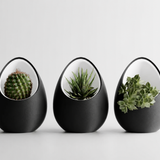 Halo Pod Planter