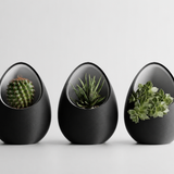 Halo Pod Planter