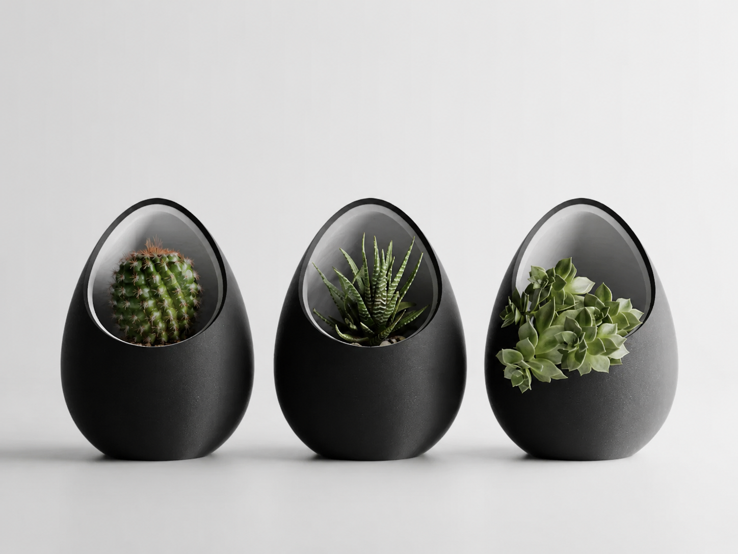 Halo Pod Planter