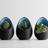 Halo Pod Planter