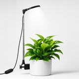 LED Grow Lights for Indoor Plants Full Spectrum – Adjustable Height (8”-28”), Dimmable Brightness, Programmable Timer, Long Lifespan