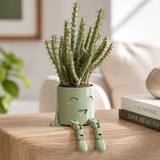 The Plant Fam – Mini Character Pot Set