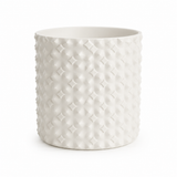 David Planter