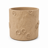 Fossil Planter
