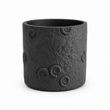 Fossil Planter