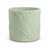 Fossil Planter