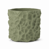 Badlands Planter