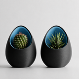 Halo Pod Planter