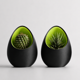 Halo Pod Planter