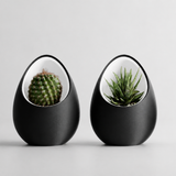 Halo Pod Planter