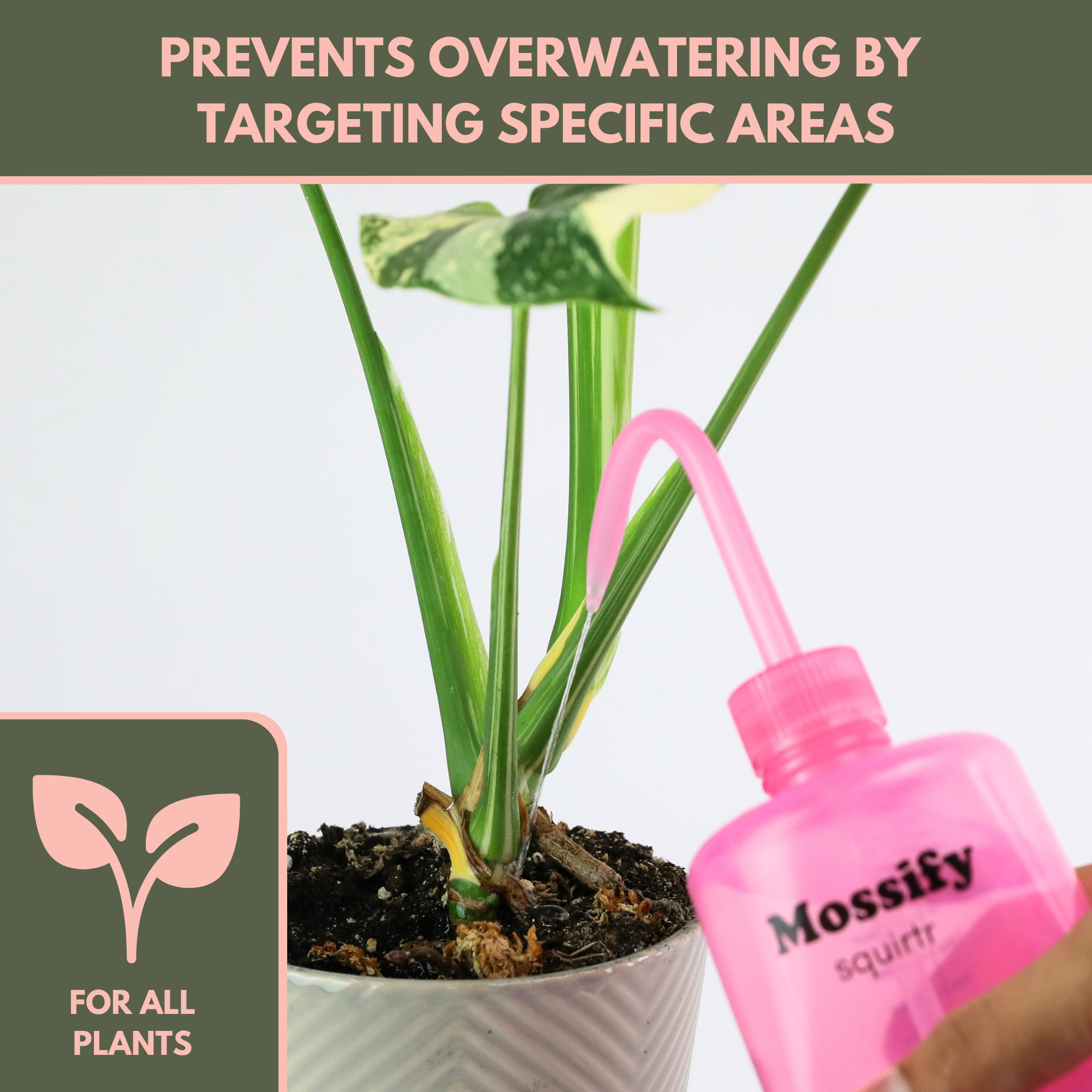 Mossyify Pink Squirtr