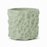Badlands Planter